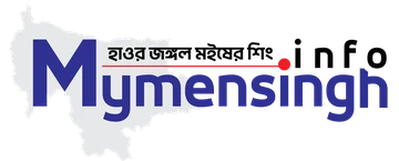 mymensingh.info লোগো